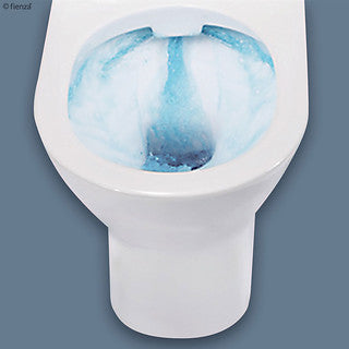 665*370*850mm Fienza RAK Resort Rimless Gloss White Ceramic Top Inlet Back To Wall Toilet