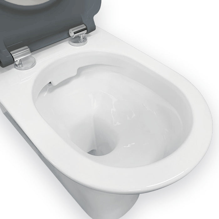 800*365*875mm Fienza Delta Care Gloss White Rimless Grey/White/Black/Blue Seat Back To Wall Toilet