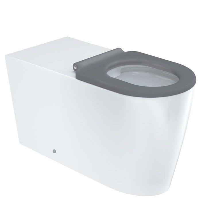 800*365*465mm Fienza Isabella Care Gloss White Rimless Grey/White/Black/Blue Seat Wall Faced Toilet