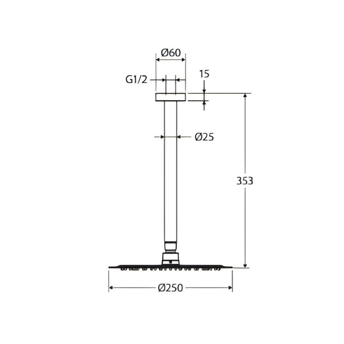 Fienza Kaya Stainless Steel Swivel Shower Dropper Set