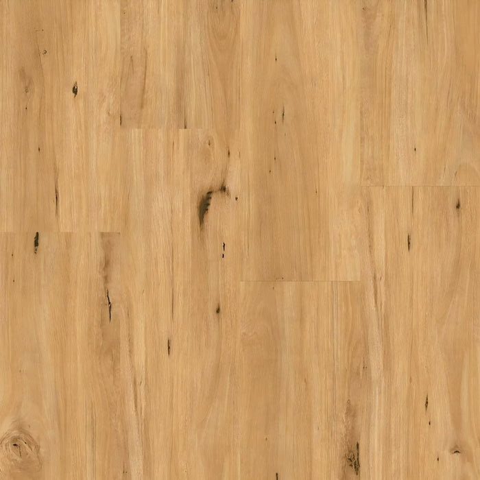 ECO Ornato XXL Hybrid Floorboards Coastal Blackbutt