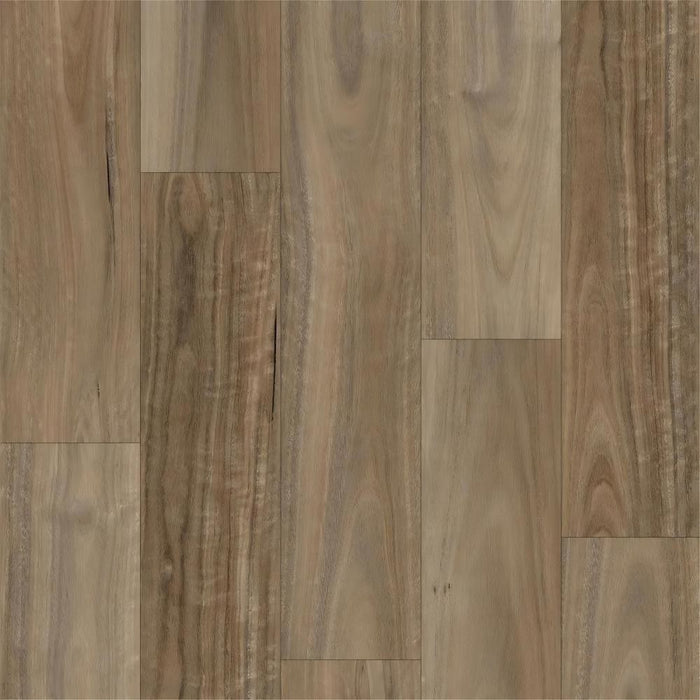 ECO Ornato Grande Hybrid Floorboards Coastal Ghost Gum