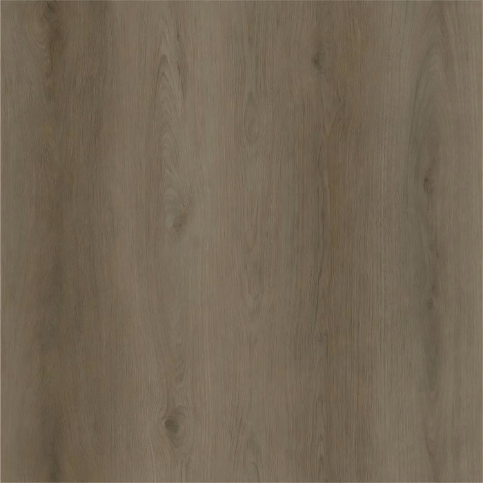 ECO Ornato Grande Hybrid Floorboards Coastal Hawthorn