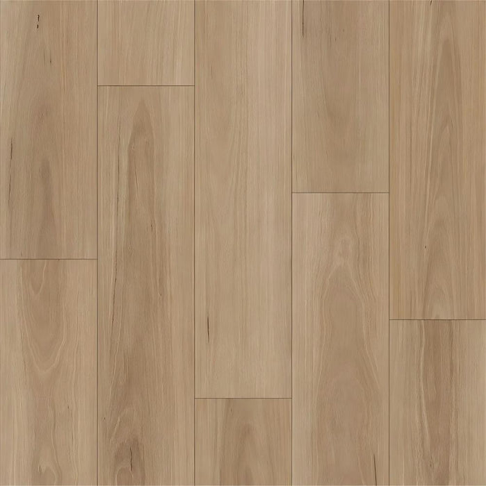 ECO Ornato Elite Hybrid Floorboards Coastal Select Blackbutt