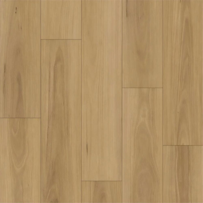 ECO Ornato Grande Hybrid Floorboards Coastal Pacific Blackbutt