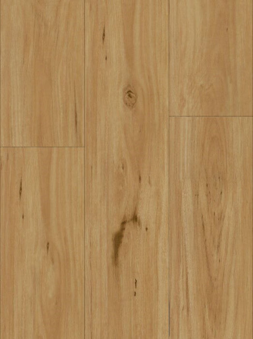 Wonderwood Hybrid Floor Blackbutt 1540 x 182 x 6.5 mm