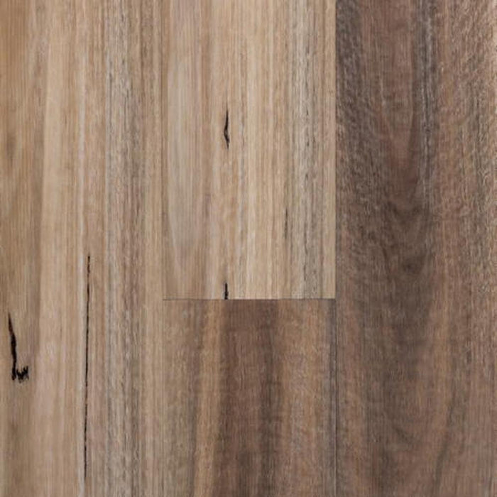 Wonderwood Hybrid Floor QLD Spotted Gum 1540 x 182 x 6.5 mm