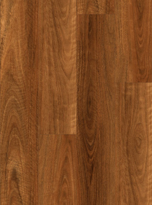 Wonderwood Hybrid Floor Spotted Gum 1800 x 228 x 9 mm