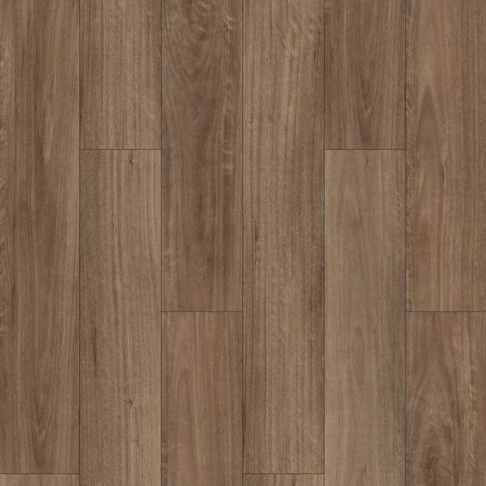 Wonderwood Laminate Floor Spotted Gum 1516 x 238 x 12 mm