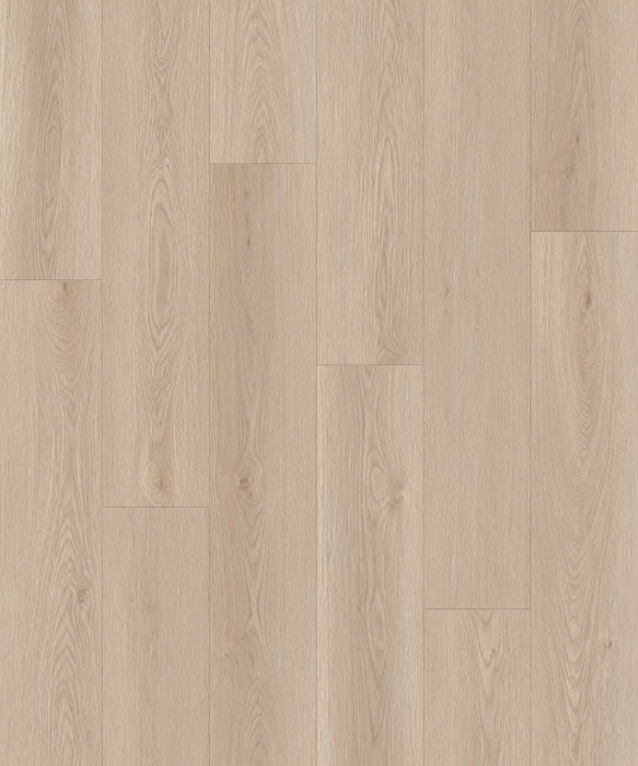Wonderwood Laminate Floor Cream Oak 1516 x 238 x 12 mm