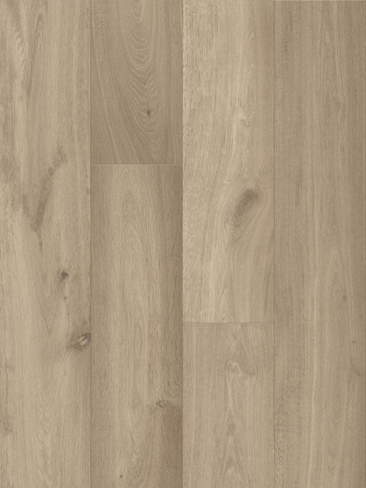 Wonderwood Timber Floor Royal Beige 2200 x 240 x 20 mm