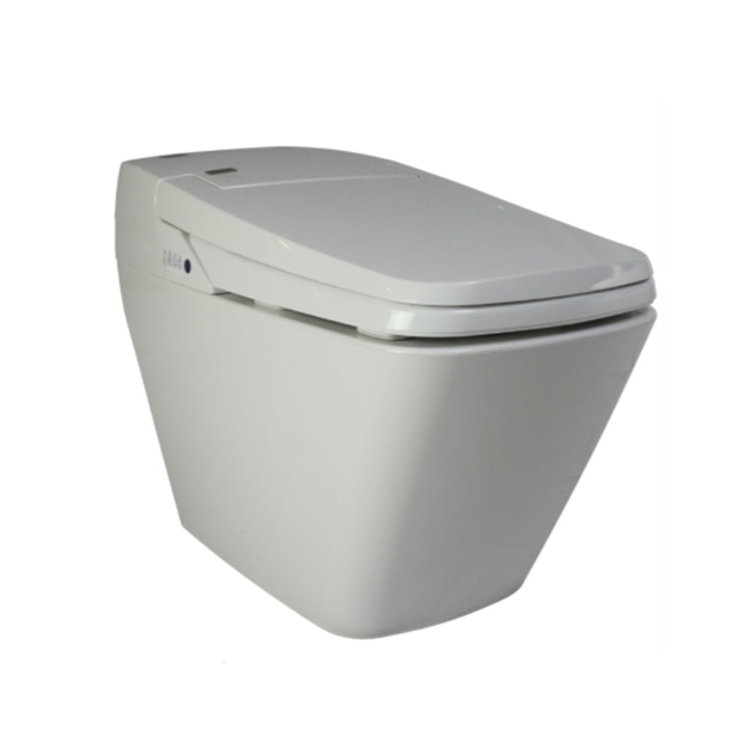 Bidet Toilets
