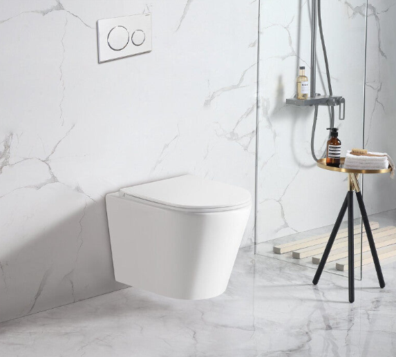 Wall Hung Pan