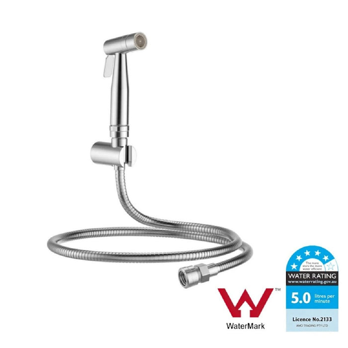 Amoza 304 Stainless Steel Dual Spray Function Hand Spray Set