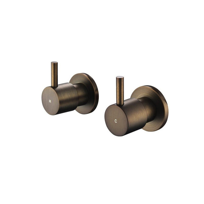 Modernnational Star Mini Brass Lever Wall Top Assemblies