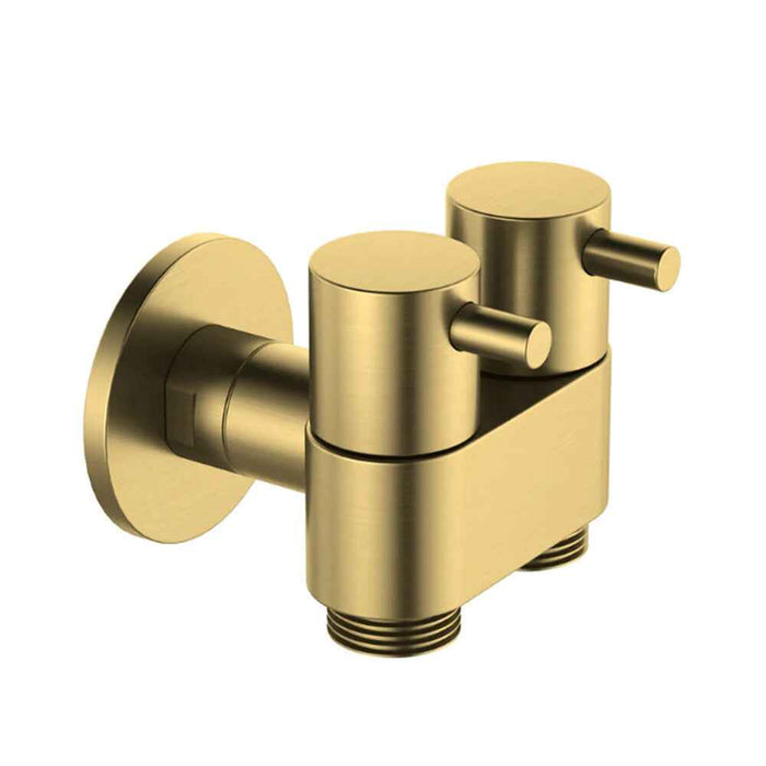 Amoza DN15 Stainless Steel 1/4 Turn Ceramic Disc Spindle Dual Cistern Tap