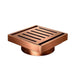 100*100*21mm Aquaperla Brushed Bronze Ezy Flow Guard Floor Waste