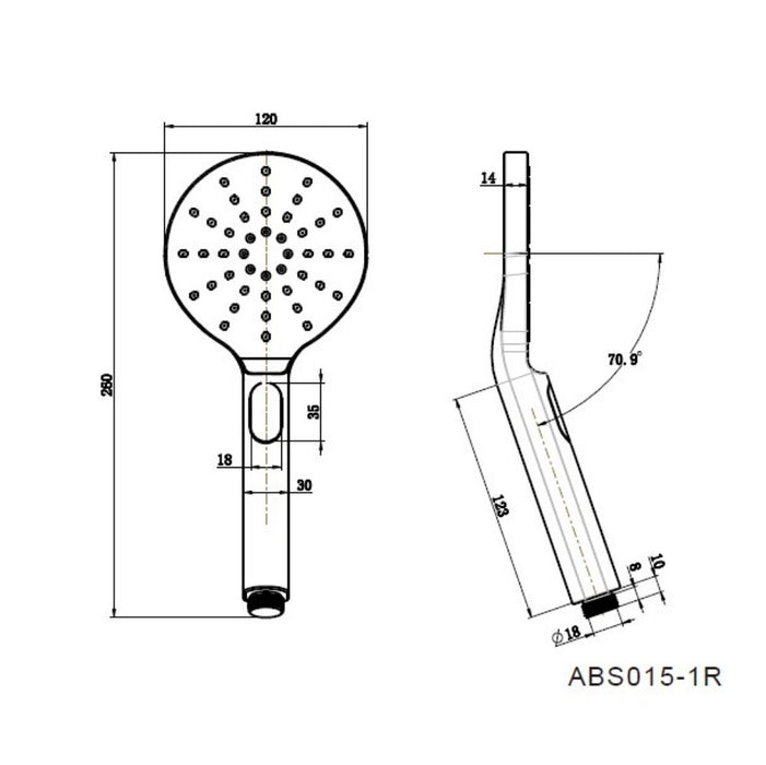 Modernnational Champagne Brass Paddle Hand Shower