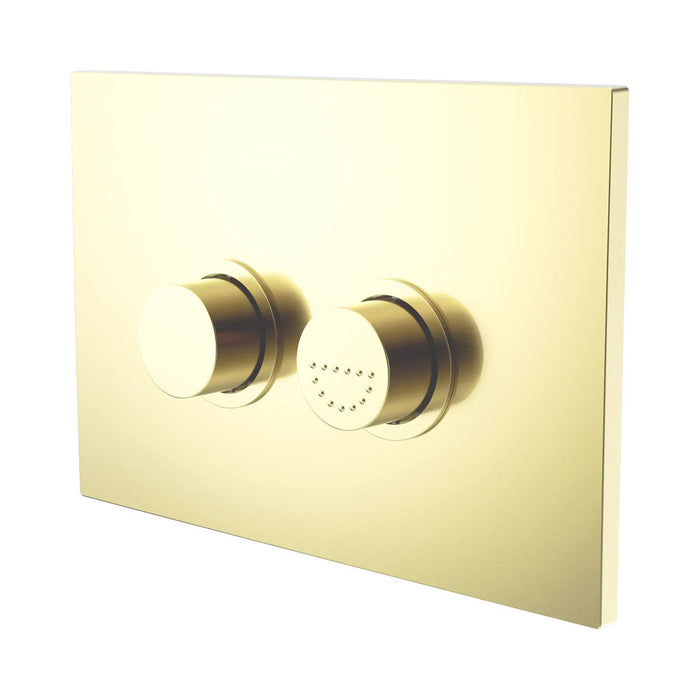 Nero Mecca Care Raised Disabled Care Pneumatic Flush Buttons Plate DDA Accessible Toilet Compliant
