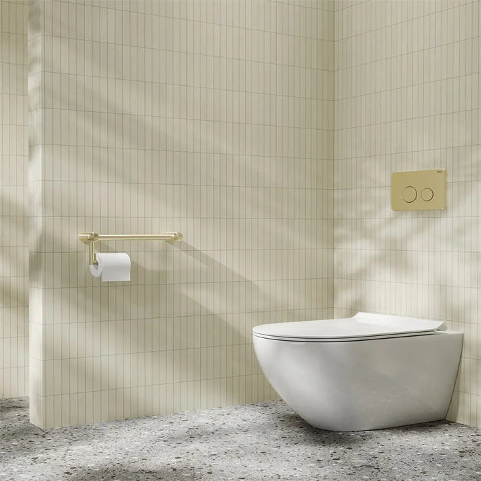450mm Nero Mecca Care Stainless Steel 32mm Grab Rail With Toilet Roll Holder