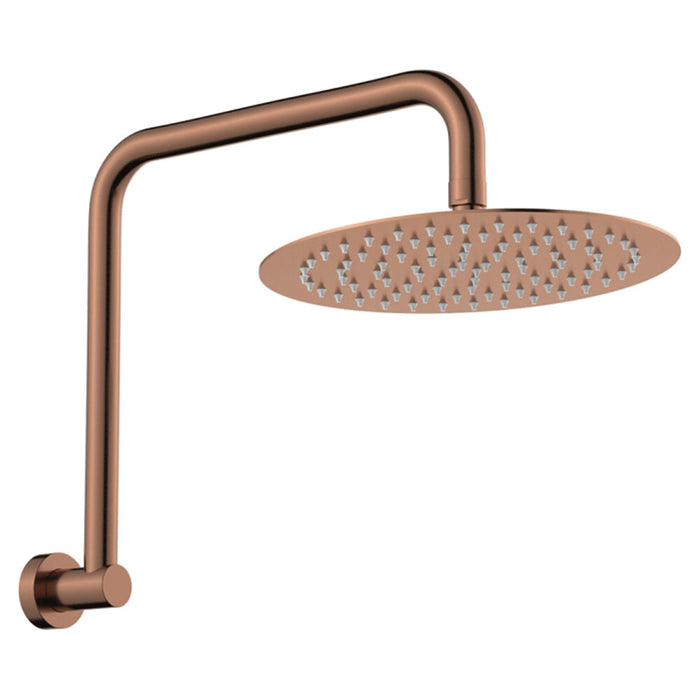 250mm Fienza Kaya Stainless Steel Round Gooseneck Shower Arm Set