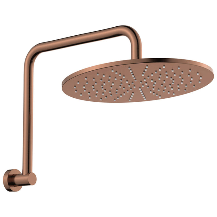 303mm Fienza Empire Stainless Steel Round Slim Gooseneck Shower Arm Set