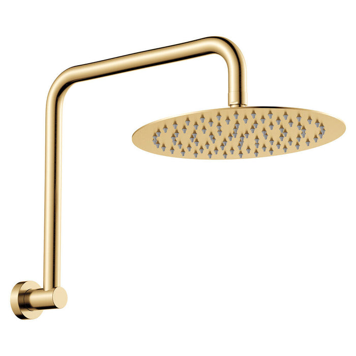 250mm Fienza Kaya Stainless Steel Round Gooseneck Shower Arm Set