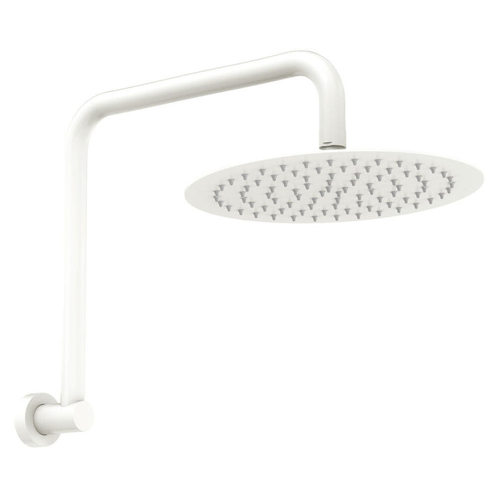 250mm Fienza Kaya Stainless Steel Round Gooseneck Shower Arm Set