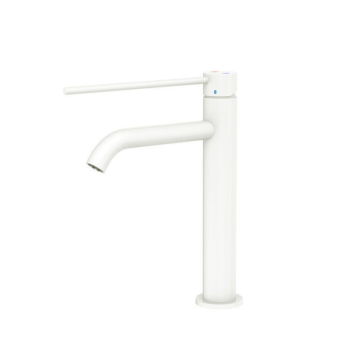 Fienza Kaya Stainless Steel Round Care Medium Basin Mixer