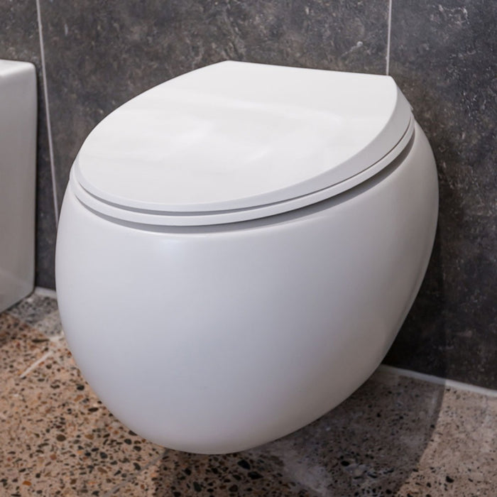 560*400*350mm Fienza RAK Cloud White/Black Rimless Wall Hung Toilet