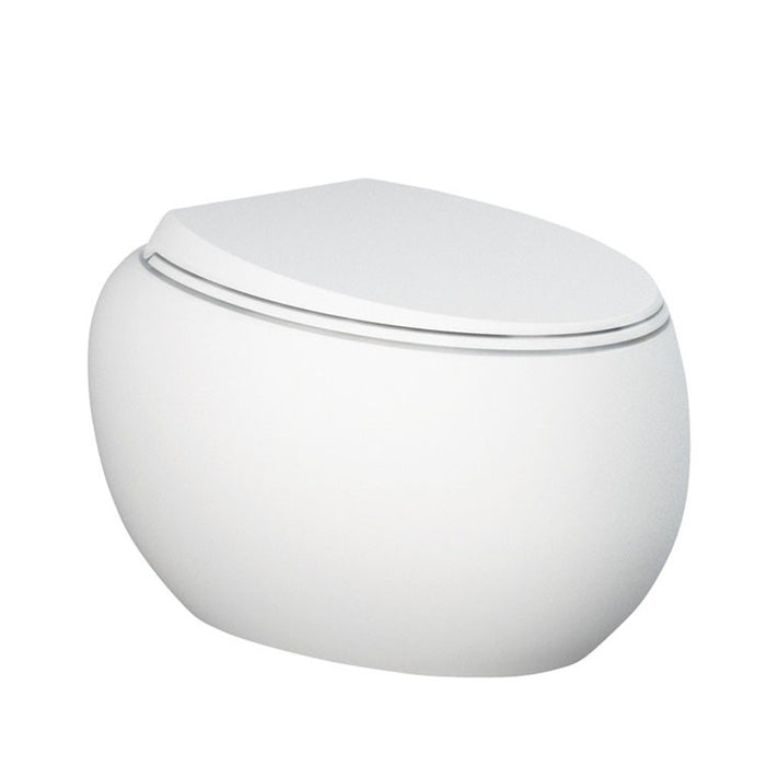 560*400*350mm Fienza RAK Cloud White/Black Rimless Wall Hung Toilet