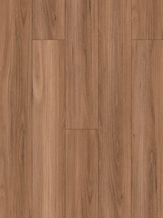 Wonderwood Hybrid Floor Grey Ironbark 1500 x 230 x 8 mm