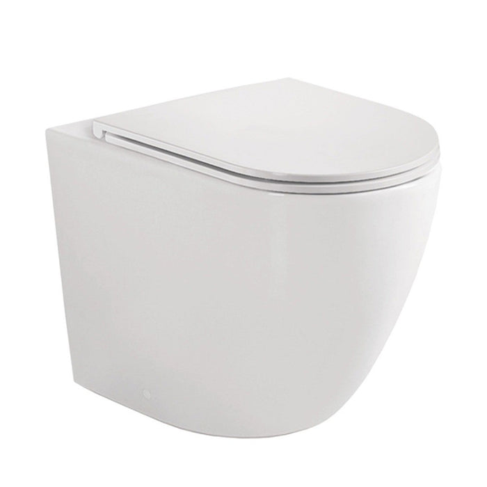 570*360*430mm Fienza KoKo Gloss White Tornado Rimless Ceramic Wall Faced Toilet
