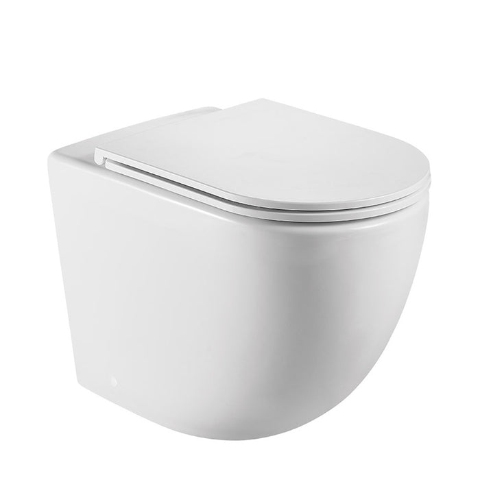 570*360*430mm Fienza KoKo Matt White Tornado Rimless Ceramic Wall Faced Toilet