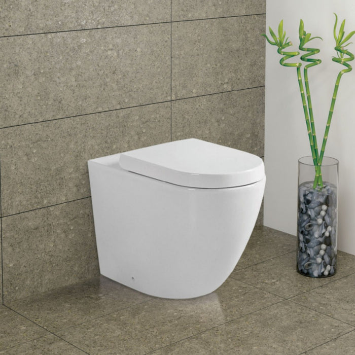 570*360*430mm Fienza KoKo Gloss White Tornado Rimless Ceramic Wall Faced Toilet