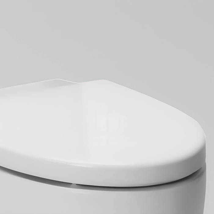 650*305*830mm Kohler Grande Ceramic Gloss White Rimless Back To Wall Toilet