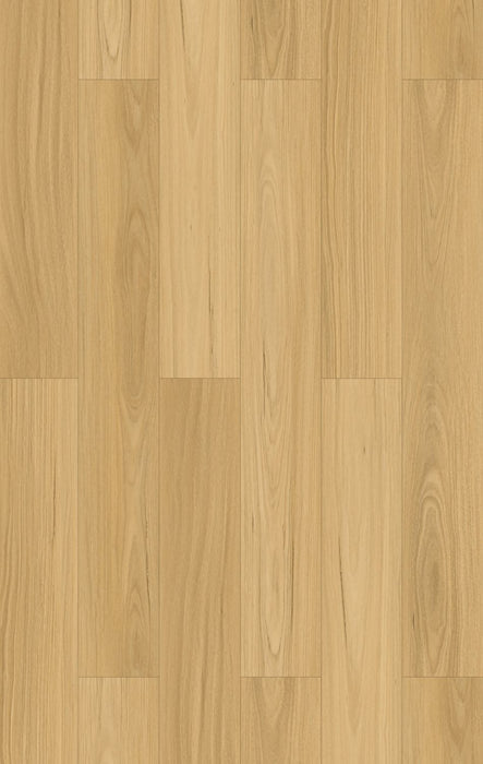 Wonderwood Laminate Floor Rustic Blackbutt 1845 x 194 x 12 mm