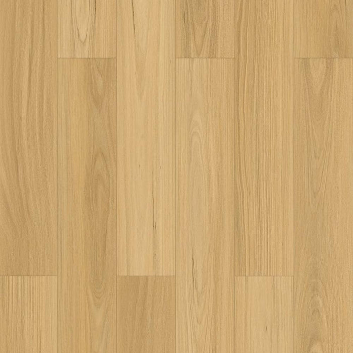 Wonderwood Laminate Floor Rustic Blackbutt 1845 x 194 x 12 mm