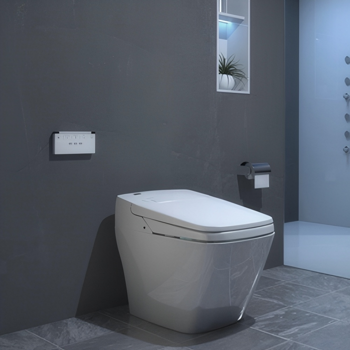 720*410*525mm The Bidet Shop King Throne Luxury Tankless Auto Open/Close Bidet Smart Toilet Suite