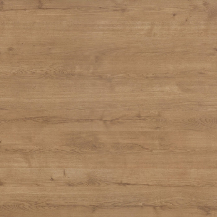 TIMBERLINE LAMINEX PLANKED URBAN OAK ABSOLUTEGRAIN® CABINET SAMPLE