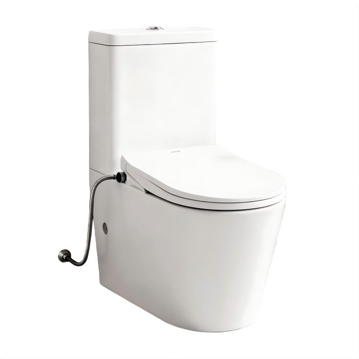 680*390*840mm Rimless Wellness Spa Smart Bidet Back To Wall Toilet Set